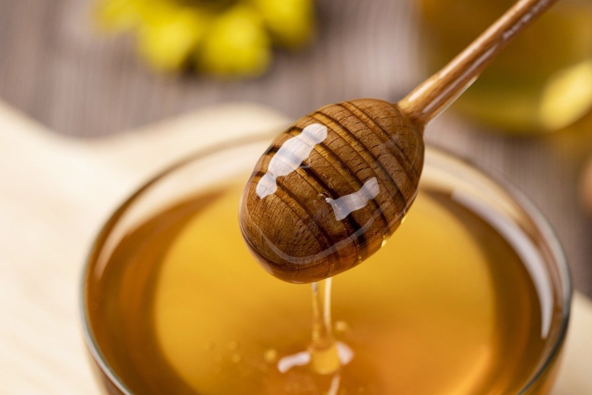 Miele di sulla: proprietà e controindicazioni del sorprendente prodotto siciliano - SicilyAddict