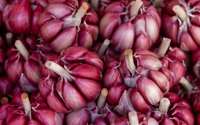 Perché in Sicilia si cucina con l’aglio?
