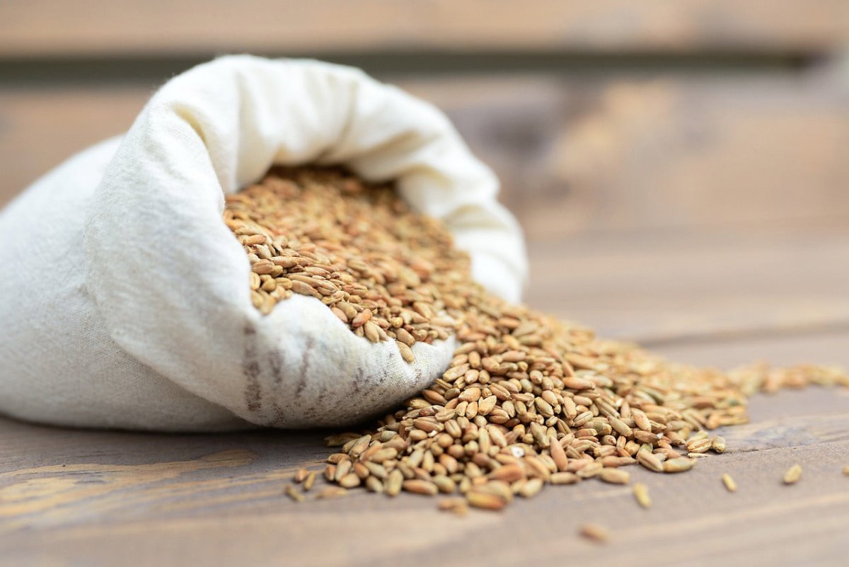 Farine di grani antichi, quali sono e come usarle in cucina - SicilyAddict