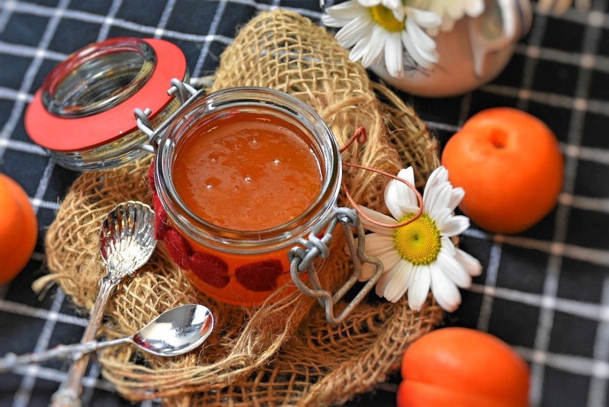 Marmellata di albicocche, la ricetta della nonna per farla in casa - SicilyAddict