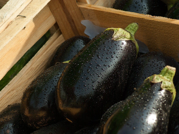 Melanzane sott'olio alla siciliana ricetta senza cottura