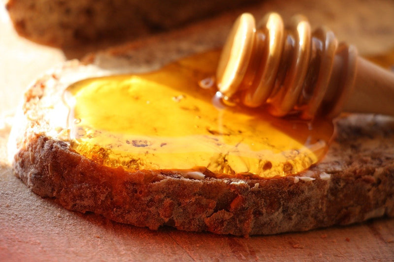 Dalla Sicilia il miele di cardo: proprietà, benefici e controindicazioni