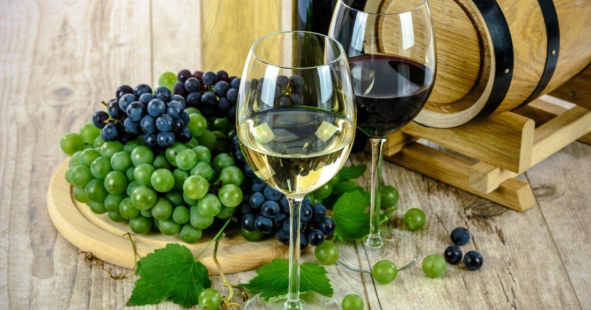 Storia dei vini in Sicilia: il nettare degli Dei che perdura nei secoli - SicilyAddict
