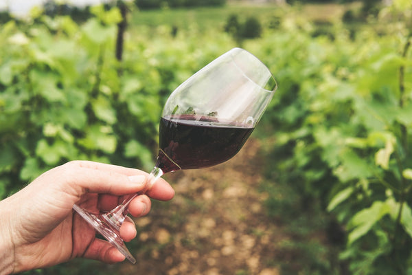 Vini siciliani da regalare 