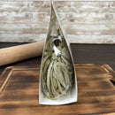 Pasta artiginale al Pistacchio fomato Fettuccine 250 g